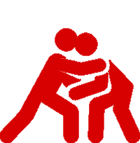 Judo Jui Jitsu